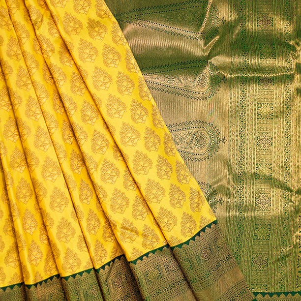 Kanchipattu